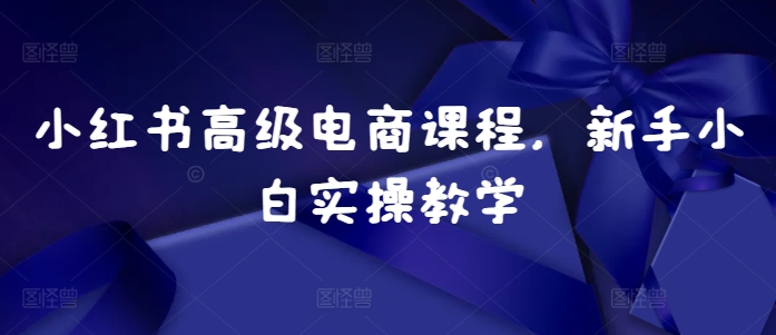 小红书高级电商课程，新手小白实操教学-学习资源社