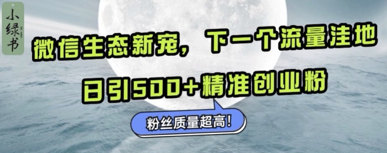 微信生态新宠小绿书：下一个流量洼地，日引500+精准创业粉，粉丝质量超高-学习资源社