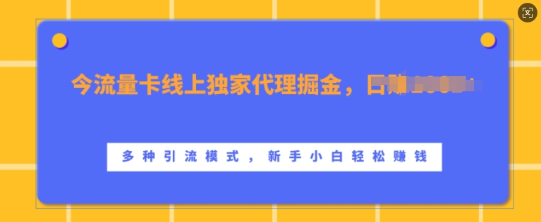 流量卡线上独家代理掘金，日入1k+ ，多种引流模式，新手小白轻松上手【揭秘】-学习资源社