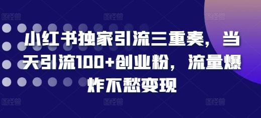 小红书独家引流三重奏，当天引流100+创业粉，流量爆炸不愁变现【揭秘】-学习资源社