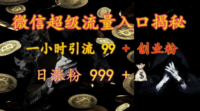 微信超级流量入口揭秘：一小时引流 99 + 创业粉，日涨粉 999 +-学习资源社