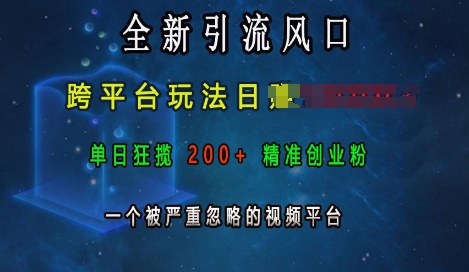 全新引流风口，跨平台玩法日入上k，单日狂揽200+精准创业粉，一个被严重忽略的视频平台-学习资源社