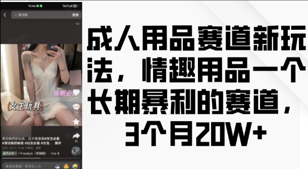 成人用品赛道新玩法，情趣用品一个长期暴利的赛道，3个月收益20个【揭秘】-学习资源社