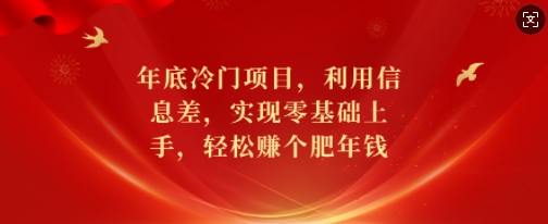 年底冷门项目，利用信息差，实现零基础上手，轻松赚个肥年钱【揭秘】-学习资源社