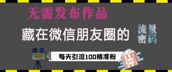 藏在微信朋友圈的流量密码，无需发布作品，单日引流100+精准创业粉【揭秘】-学习资源社