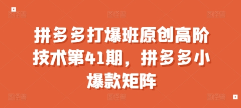 拼多多打爆班原创高阶技术第41期，拼多多小爆款矩阵-学习资源社