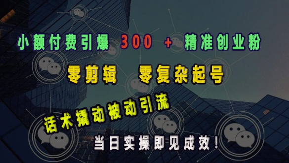 小额付费引爆 300 + 精准创业粉，零剪辑、零复杂起号，话术撬动被动引流，当日实操即见成效-学习资源社