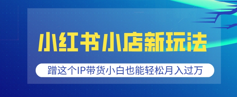 小红书小店新玩法，蹭这个IP带货，小白也能轻松月入过W【揭秘】-学习资源社