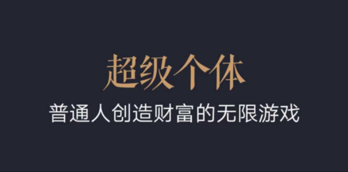 超级个体：2024-2025翻盘指南，普通人创造财富的无限游戏-学习资源社