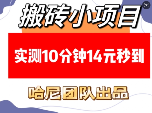 搬砖小项目，实测10分钟14元秒到，每天稳定几张(赠送必看稳定)-学习资源社