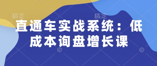 直通车实战系统：低成本询盘增长课，让个人通过技能实现升职加薪，让企业低成本获客，订单源源不断-学习资源社