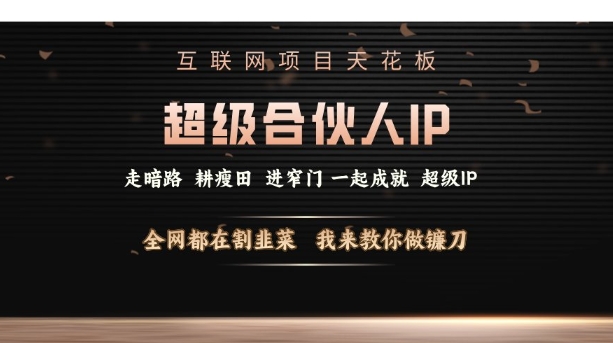 互联网项目天花板，超级合伙人IP，全网都在割韭菜，我来教你做镰刀【仅揭秘】-学习资源社