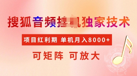 全网首发搜狐音频挂JI独家技术，项目红利期，可矩阵可放大，稳定月入8k【揭秘】-学习资源社