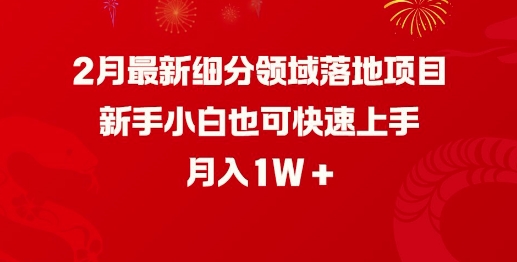 2月最新细分领域落地项目，新手小白也可快速上手，月入1W-学习资源社