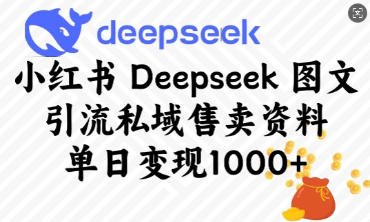 小红书Deepseek图文引流私域售卖资料，单日变现多张-学习资源社