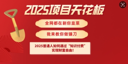 2025项目天花板普通人如何通过知识付费，实现财F自由【揭秘】-学习资源社