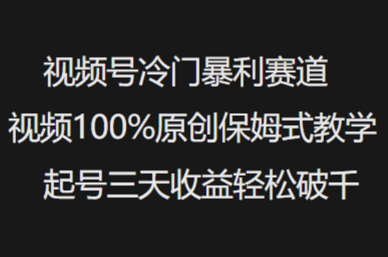 视频号冷门暴利赛道视频100%原创保姆式教学起号三天收益轻松破千-学习资源社