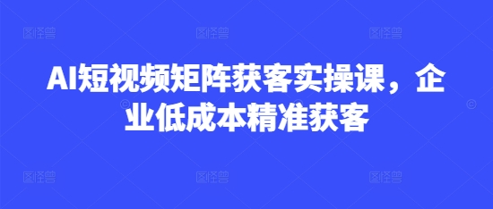 AI短视频矩阵获客实操课，企业低成本精准获客-学习资源社