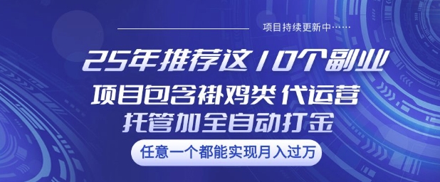 25年推荐这10个副业项目包含褂鸡类、代运营托管类、全自动打金类【揭秘】-学习资源社