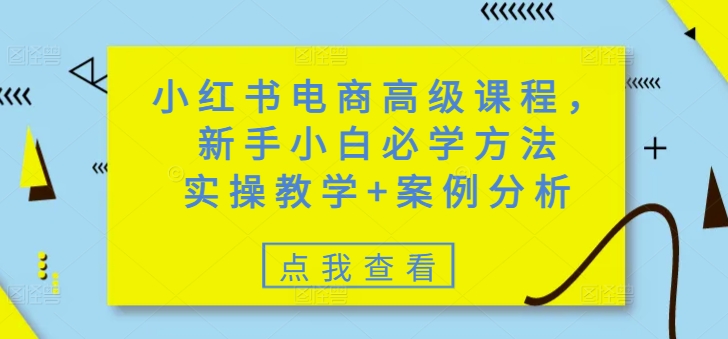 小红书电商高级课程，新手小白必学方法，实操教学+案例分析-学习资源社